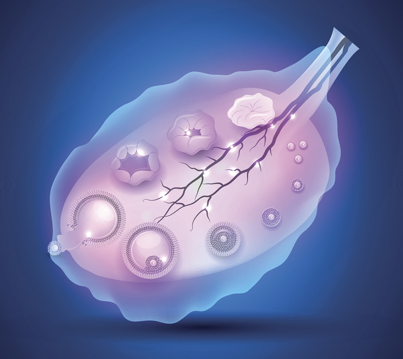 公布!台州比较出名的助孕机构有哪些？他们成功率真的很高吗？